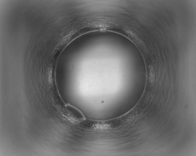 X0000056350403200509091602