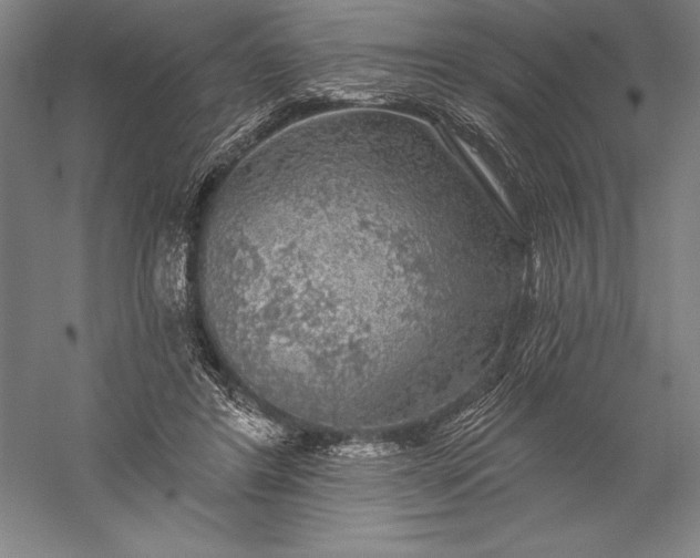 X0000056350404200509091601