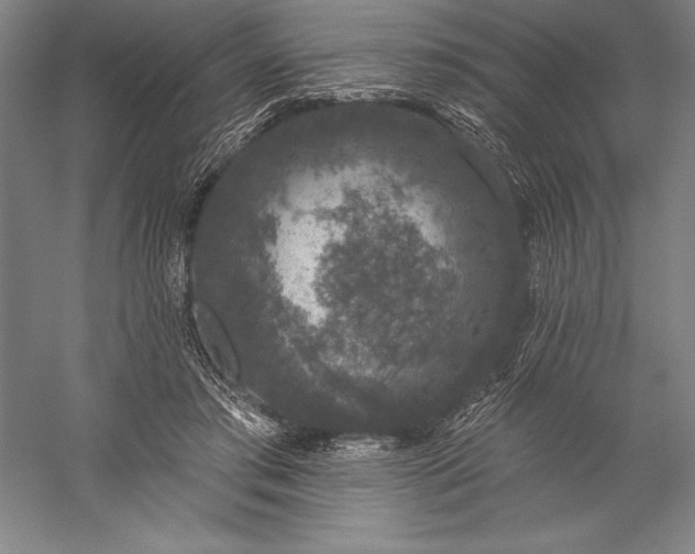 X0000056350405200509091601