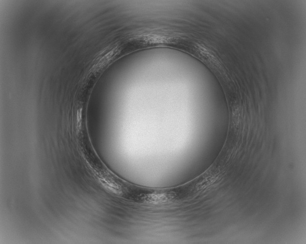 X0000056350406200509091601