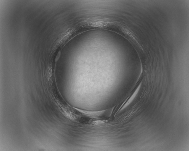 X0000056350407200509091601