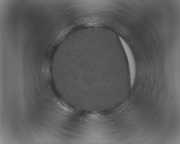 X0000056350408200509091601