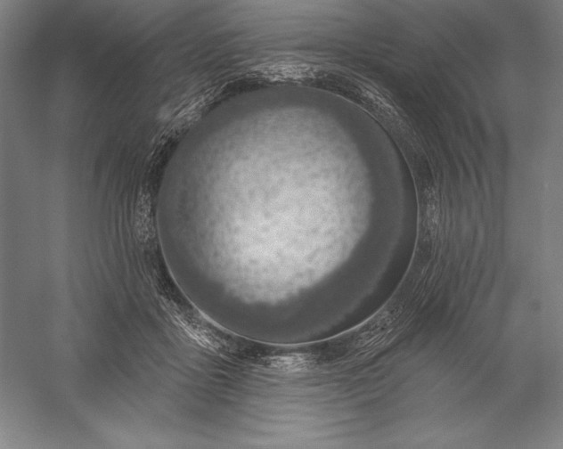 X0000056350411200509091601