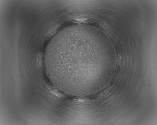 X0000056350412200509091601