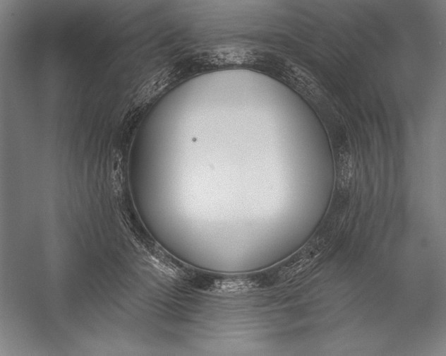 X0000056350414200509091601