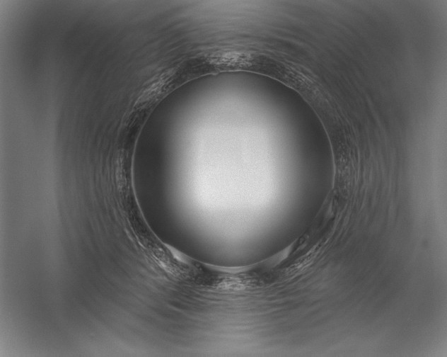 X0000056350416200509091601