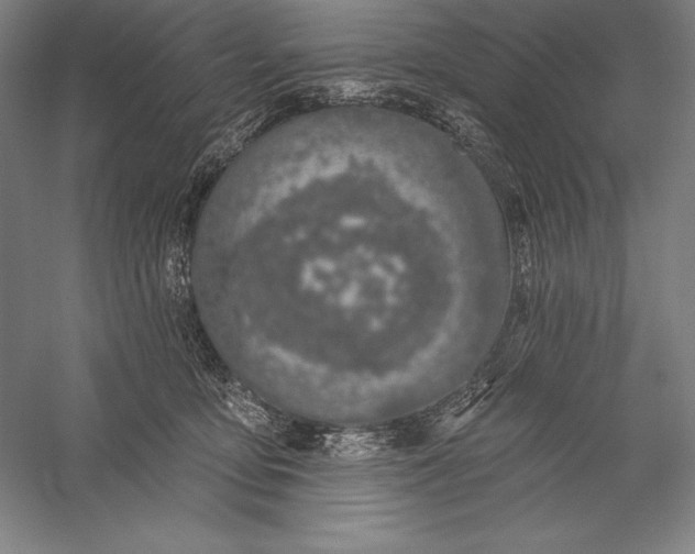 X0000056350419200509091601