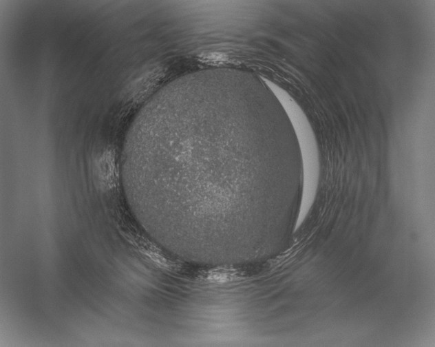 X0000056350420200509091601