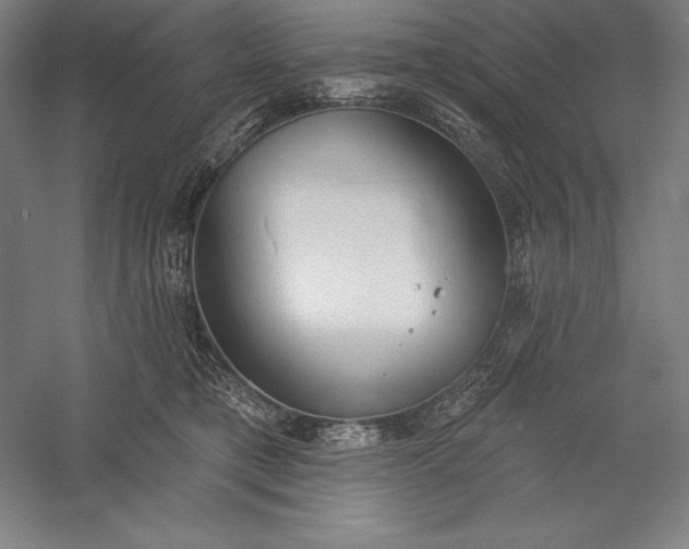 X0000056350421200509091601