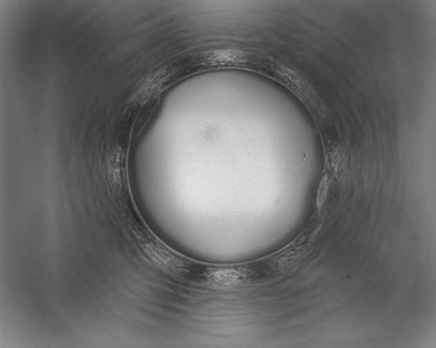 X0000056350423200509091601