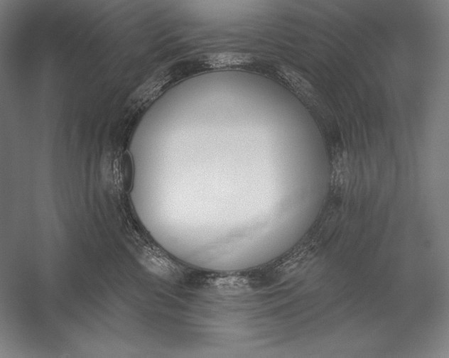 X0000056350426200509091601