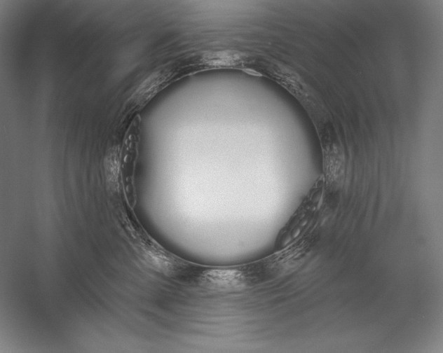 X0000056350427200509091601