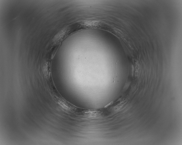 X0000056350428200509091601