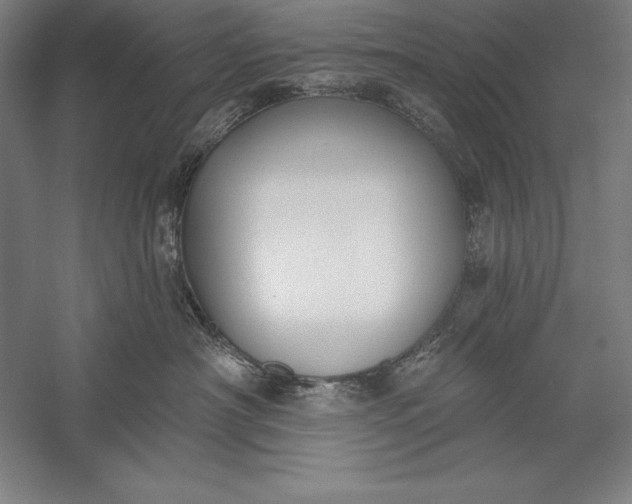 X0000056350430200509091601