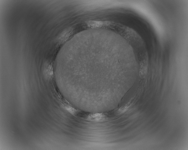 X0000056350431200509091601