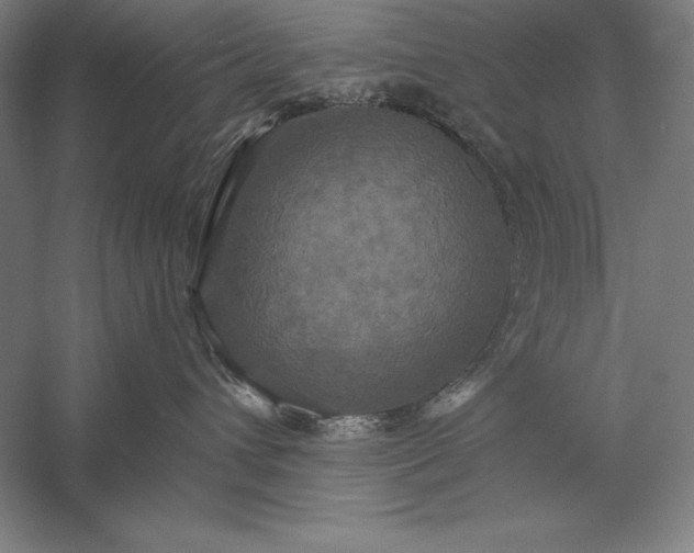 X0000056350432200509091601