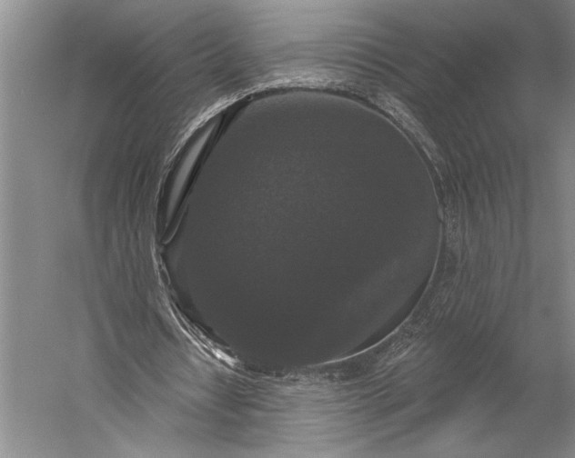 X0000056350434200509091600