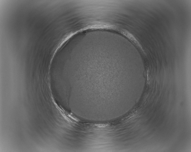 X0000056350436200509091600