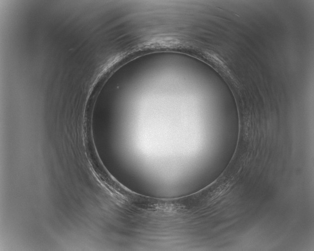 X0000056350439200509091600