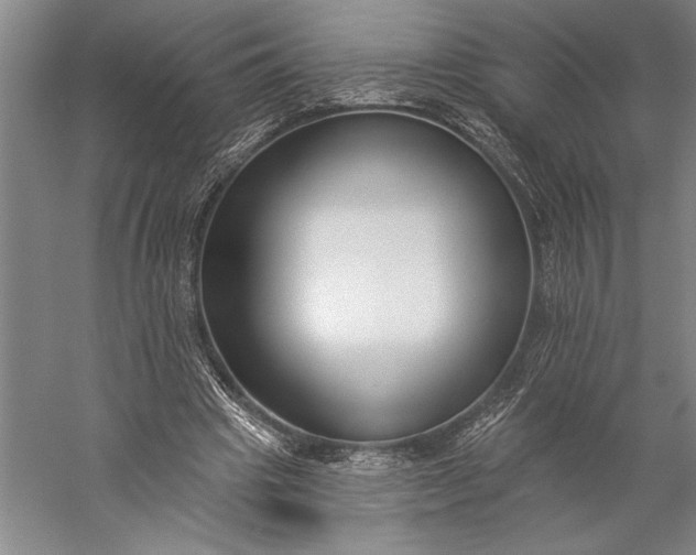 X0000056350441200509091600