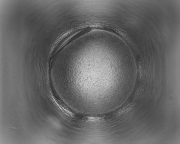 X0000056350442200509091600