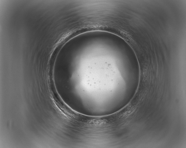 X0000056350443200509091600