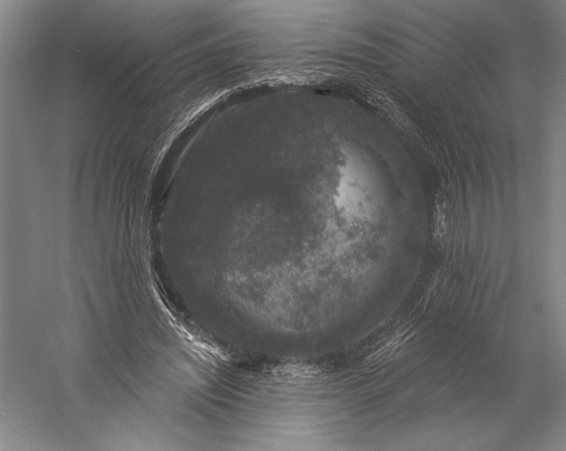 X0000056350444200509091600