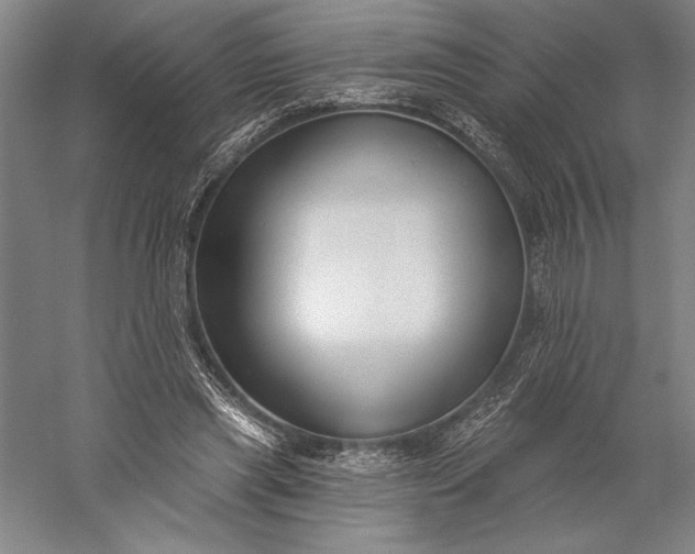 X0000056350445200509091600