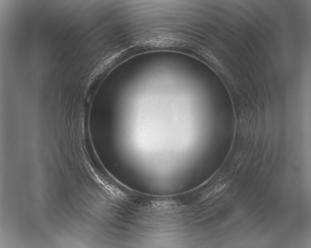 X0000056350446200509091600