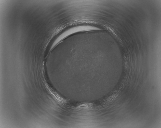 X0000056350447200509091600