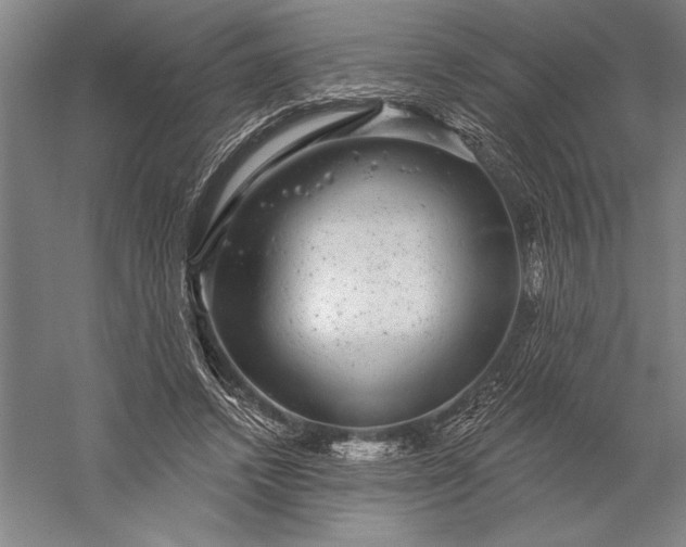 X0000056350448200509091600