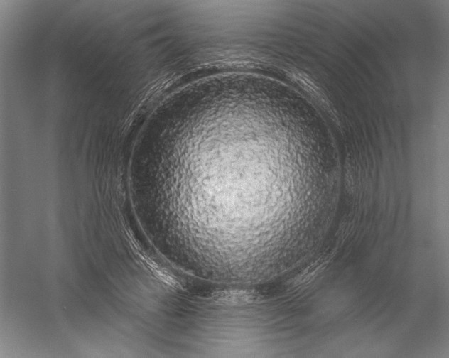 X0000056350449200509091600