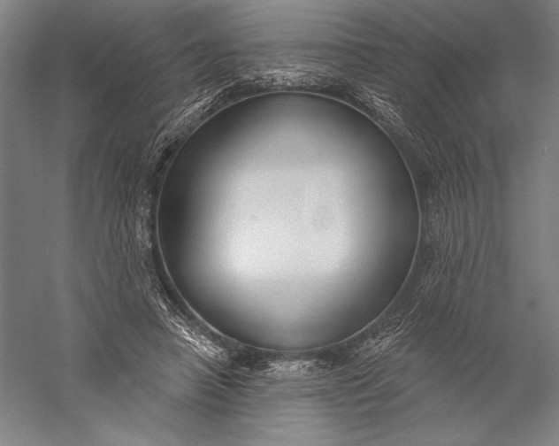 X0000056350450200509091600