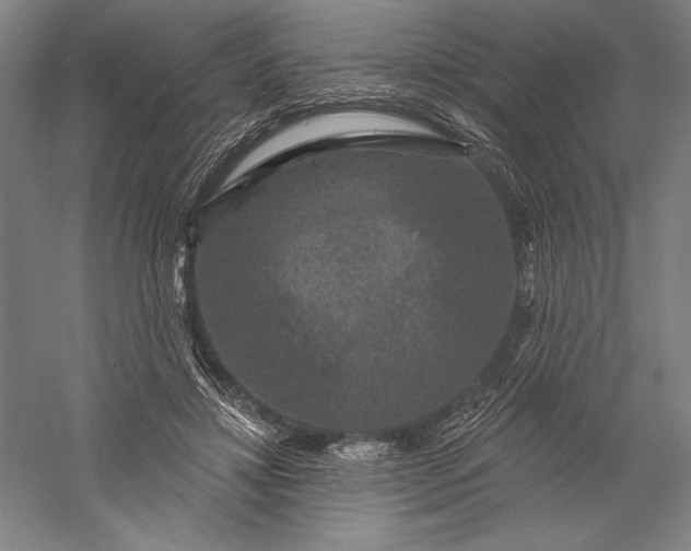 X0000056350452200509091601