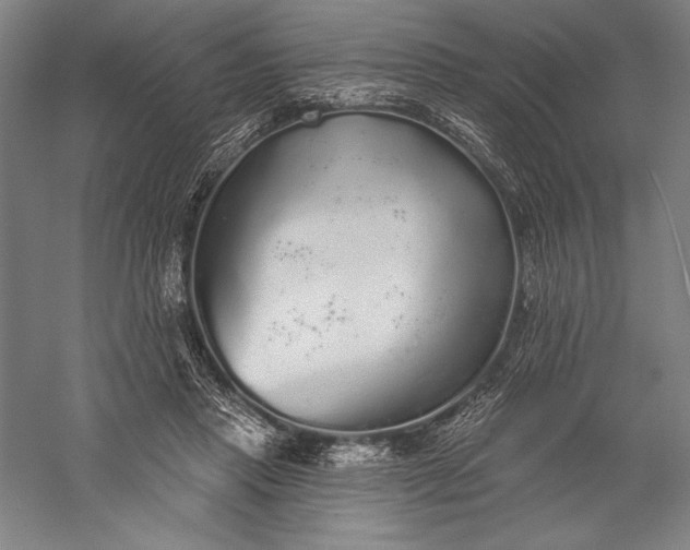 X0000056350453200509091601