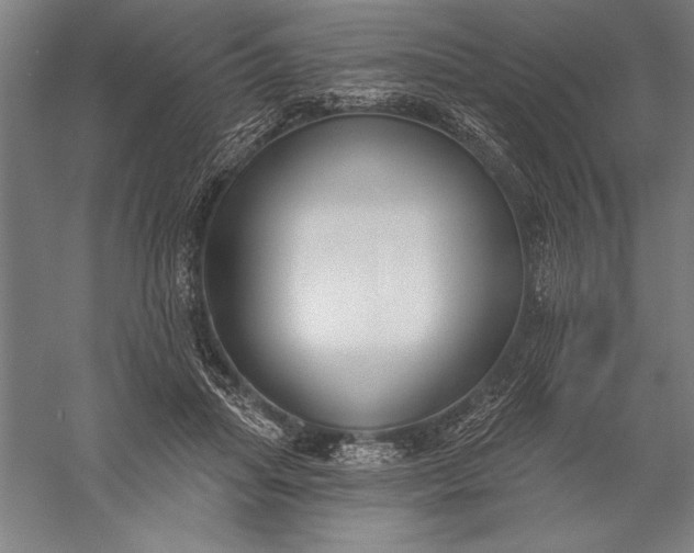 X0000056350455200509091601