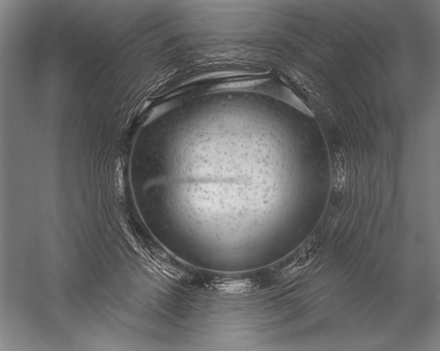 X0000056350456200509091601