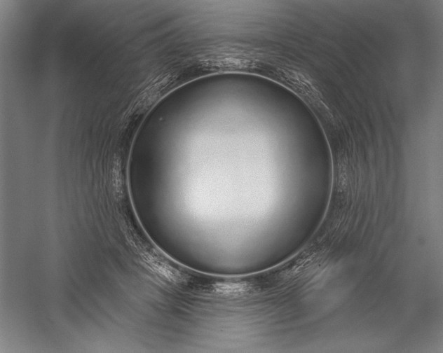 X0000056350457200509091601