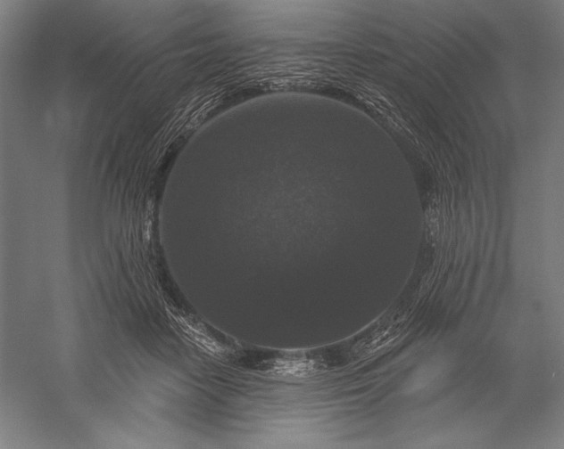 X0000056350458200509091601