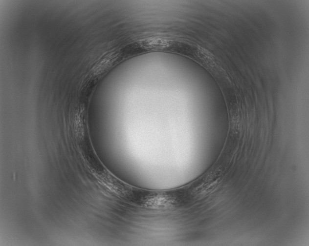 X0000056350460200509091601