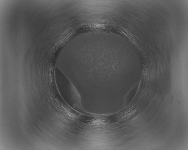 X0000056350462200509091601