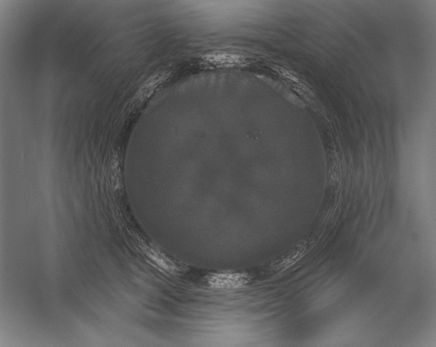 X0000056350465200509091601