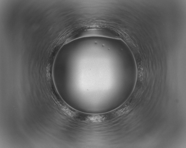 X0000056350466200509091601