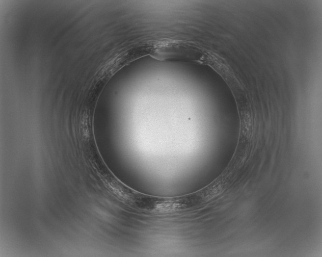 X0000056350470200509091601