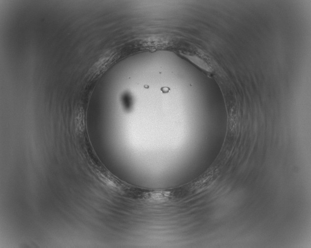 X0000056350474200509091601