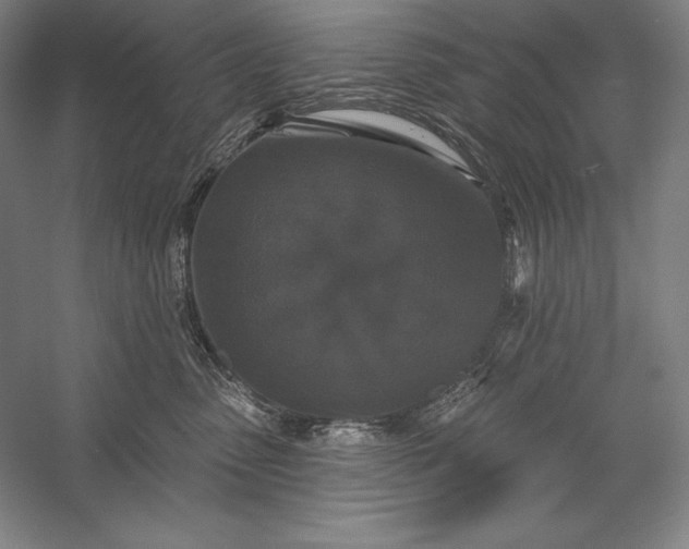 X0000056350475200509091601