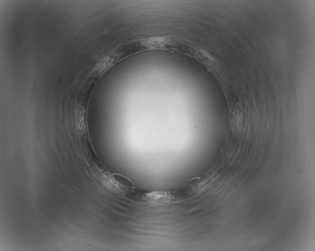 X0000056350477200509091601