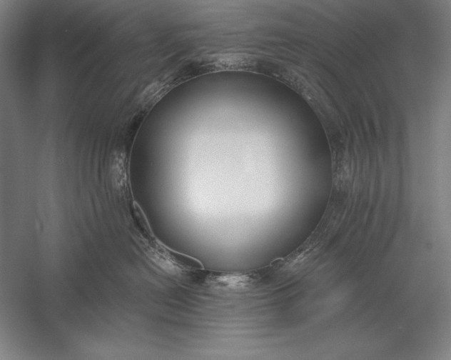 X0000056350478200509091601