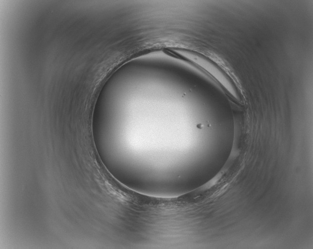 X0000056350481200509091600