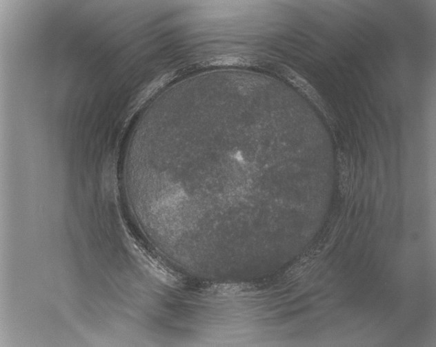 X0000056350482200509091600